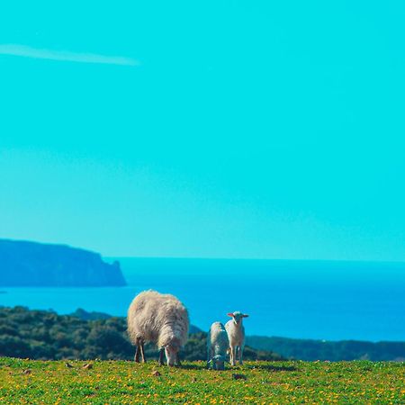 Agriturismo Il Ginepro ฟลูมินิมัจจอเร ภายนอก รูปภาพ