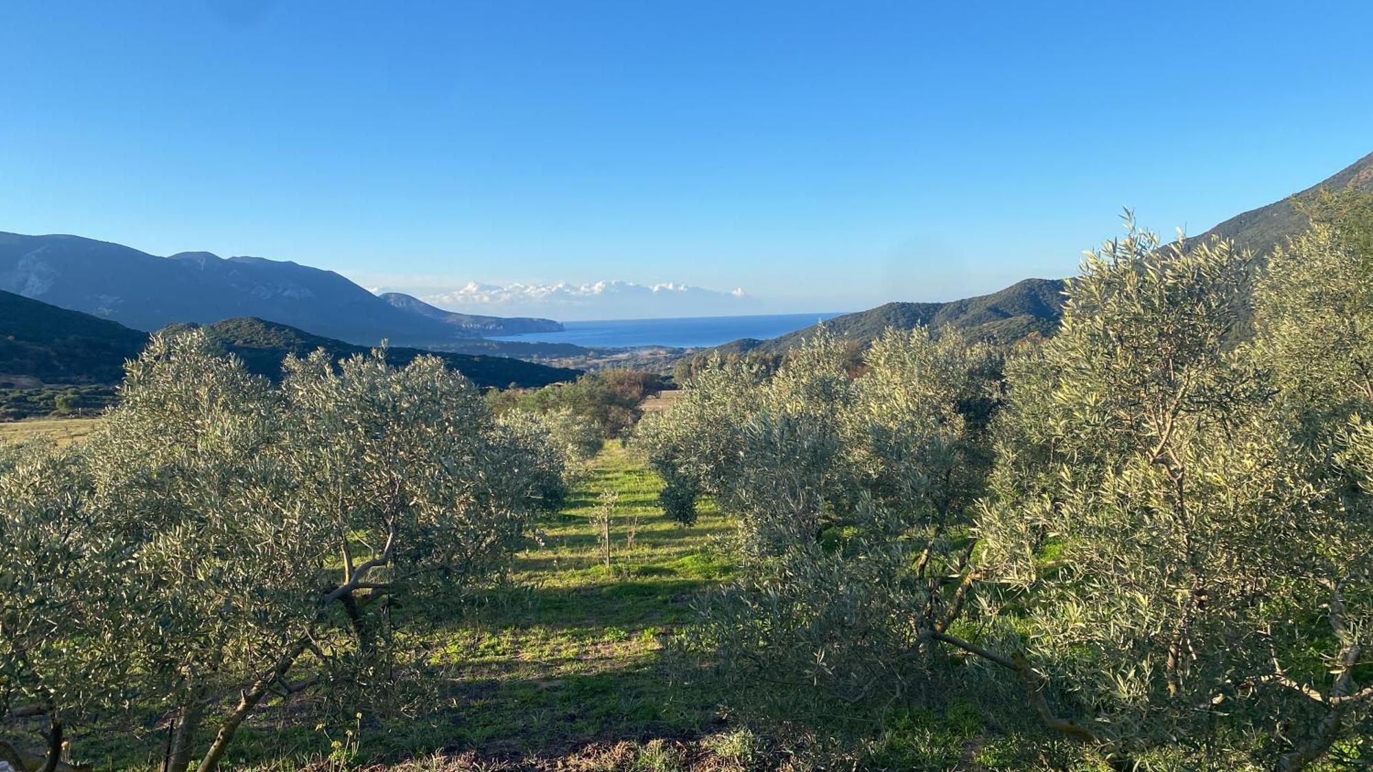 Agriturismo Il Ginepro ฟลูมินิมัจจอเร ภายนอก รูปภาพ