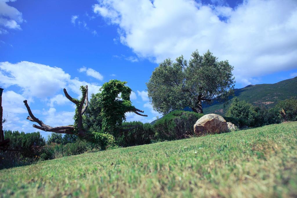 Agriturismo Il Ginepro ฟลูมินิมัจจอเร ภายนอก รูปภาพ