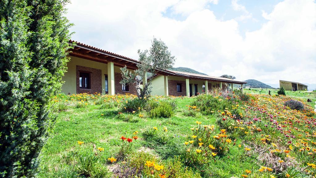Agriturismo Il Ginepro ฟลูมินิมัจจอเร ห้อง รูปภาพ