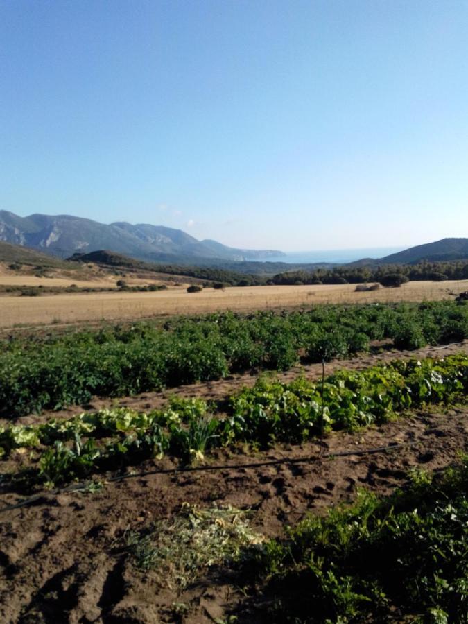 Agriturismo Il Ginepro ฟลูมินิมัจจอเร ภายนอก รูปภาพ